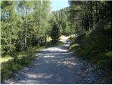 Forni di Sopra - Malga Varmost